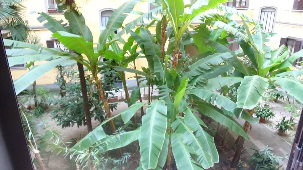 A garden outside Bed and Breakfast Adduci's House