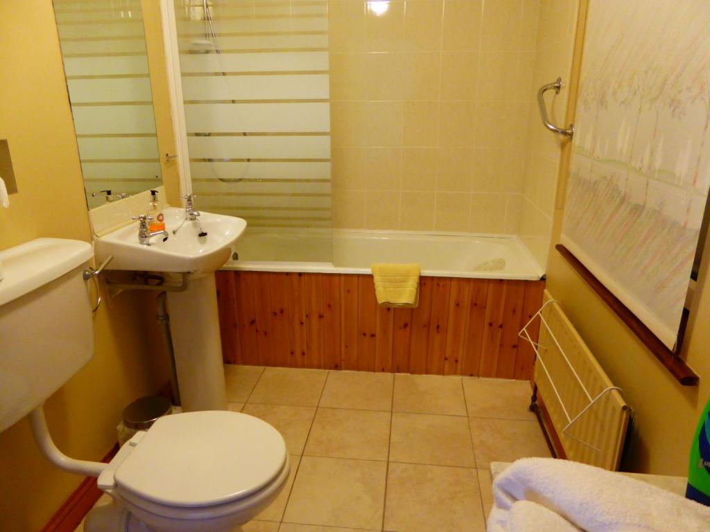 Koupelna v ubytování Camillaun Lodge with Lough Corrib Boat Hire