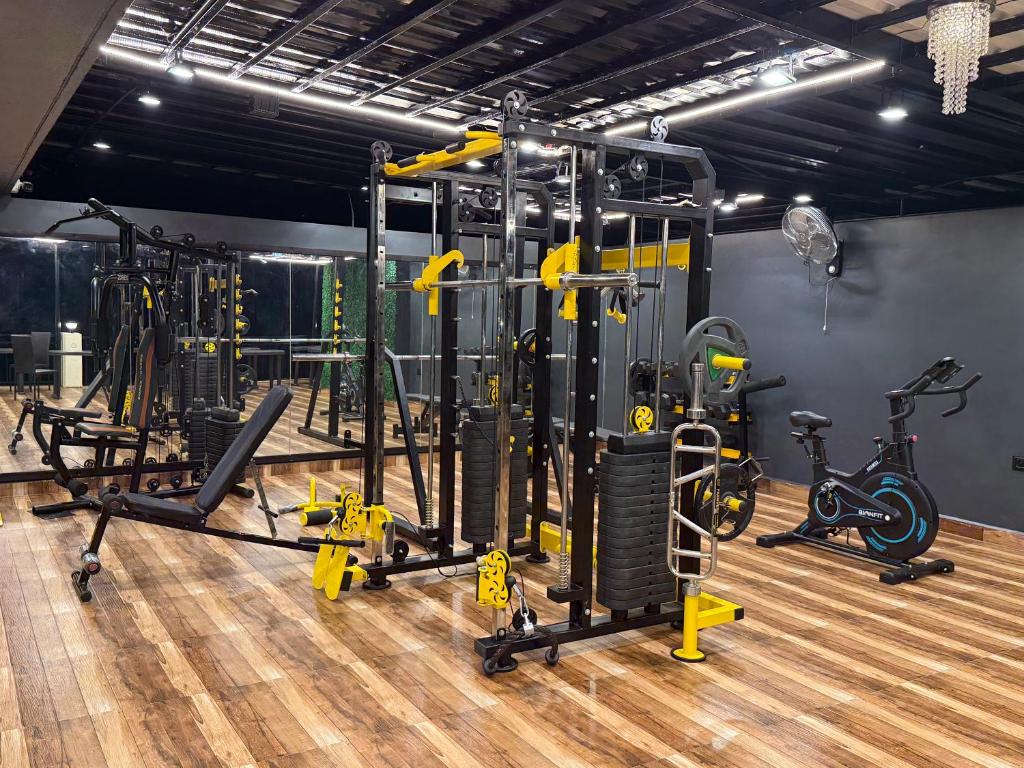Fitness centrum a/nebo fitness zařízení v ubytování Elite Residency