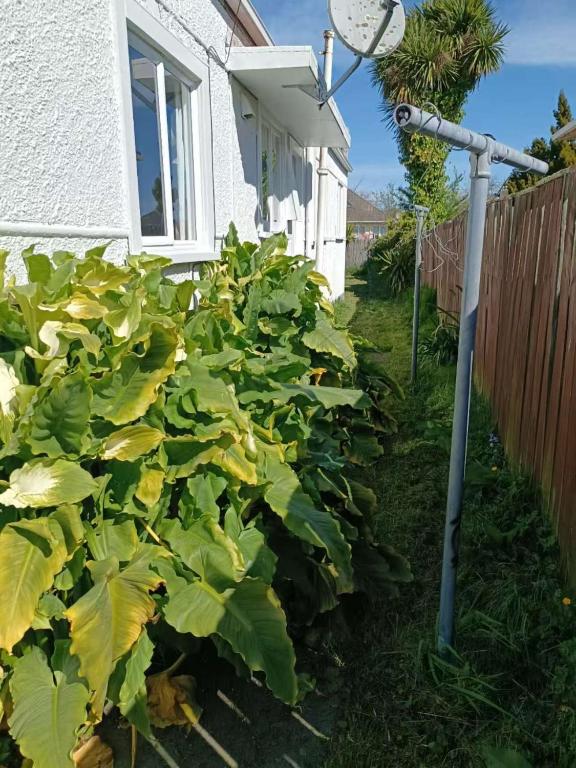 5 Beds including 3 Double Beds and 1 Double or 2 Single Sofa Beds at 22A Pererika Street - Resim 12