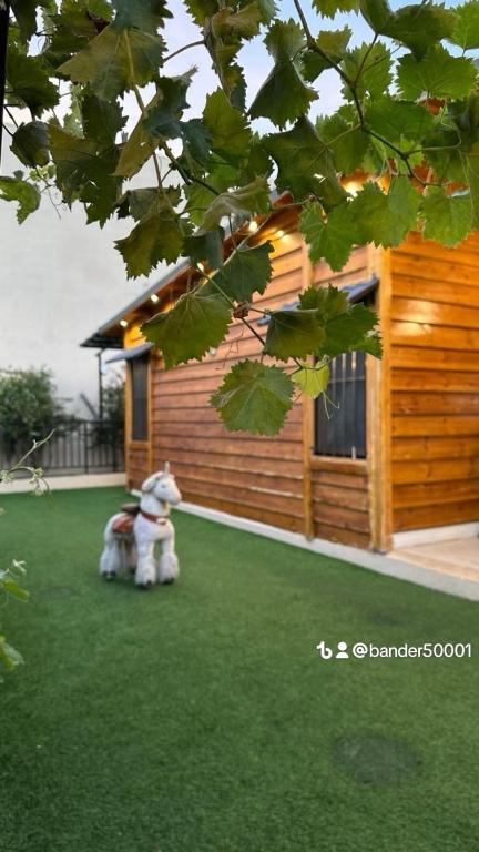 two dogs sitting on the grass in front of a house at كوخ الوهط الريفي in Taif