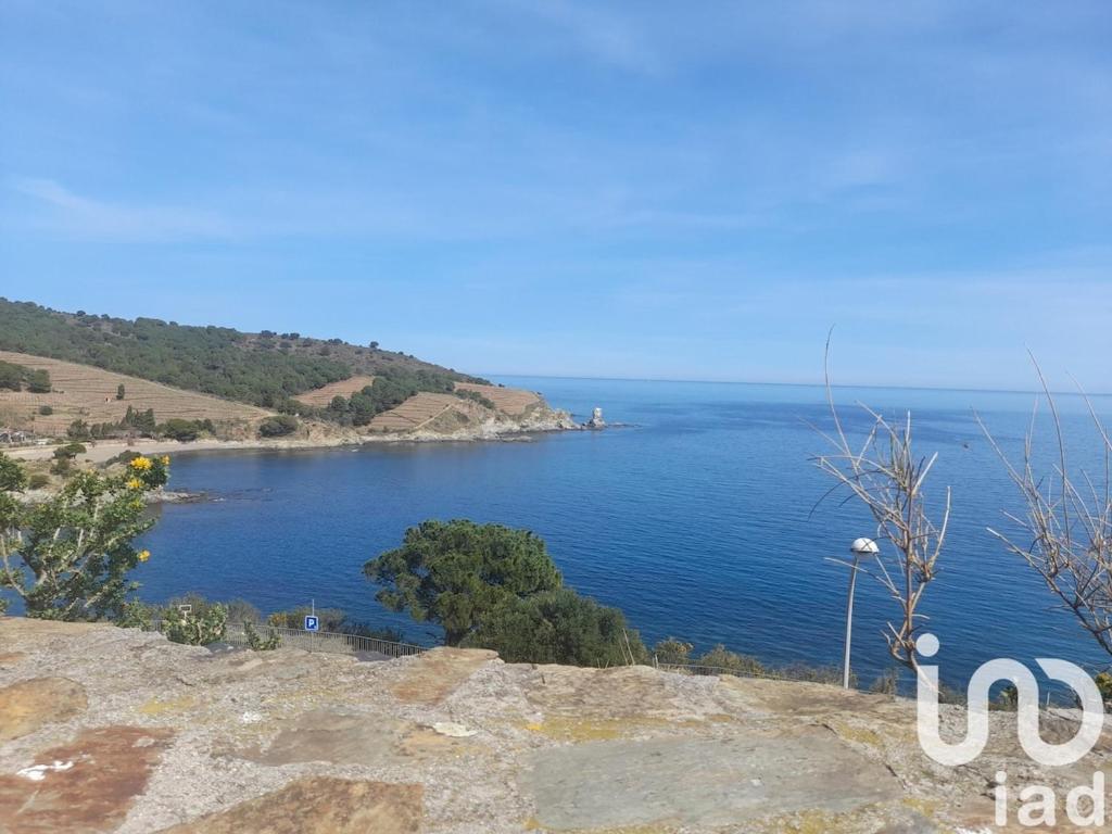 une vue sur une grande étendue d'eau dans l'établissement Appartement Banyuls sur Mer face à la mer, à Banyuls-sur-Mer