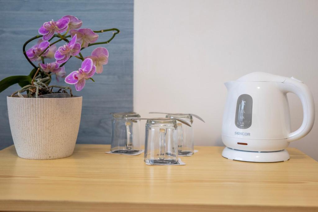 Sport Hotel Gejzirpark - Resim 8