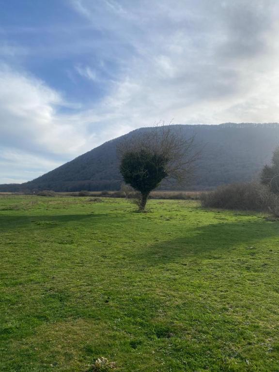 Paesaggio naturale nelle vicinanze del bed & breakfast