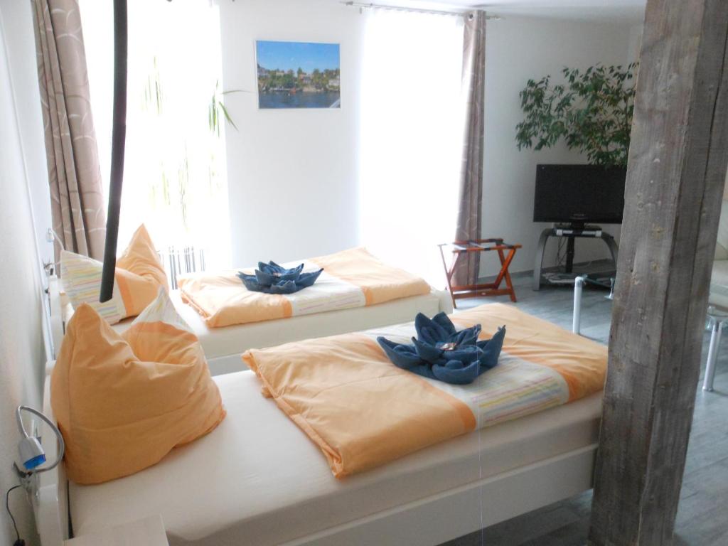 Pension Am Werder - 3