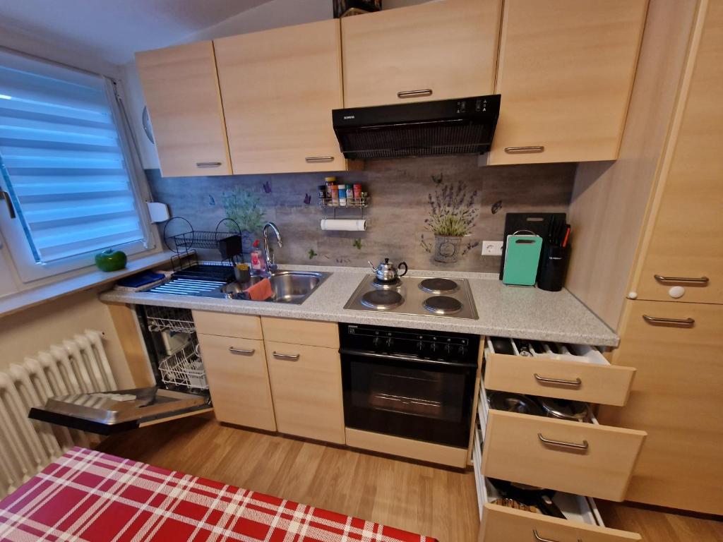Zimmervermietungen Jachna - Double Or Twin Room
