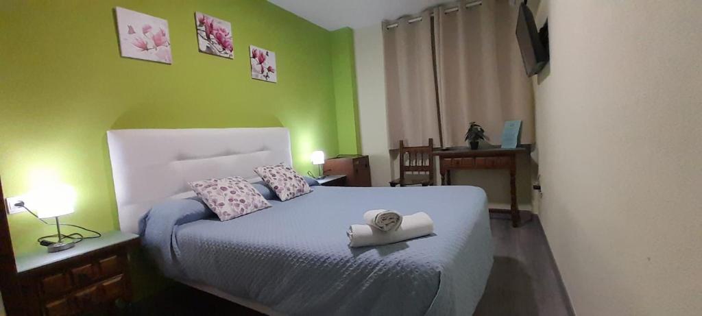 a bedroom with a bed with pink and green walls at Hostal San Roque in Guadalajara