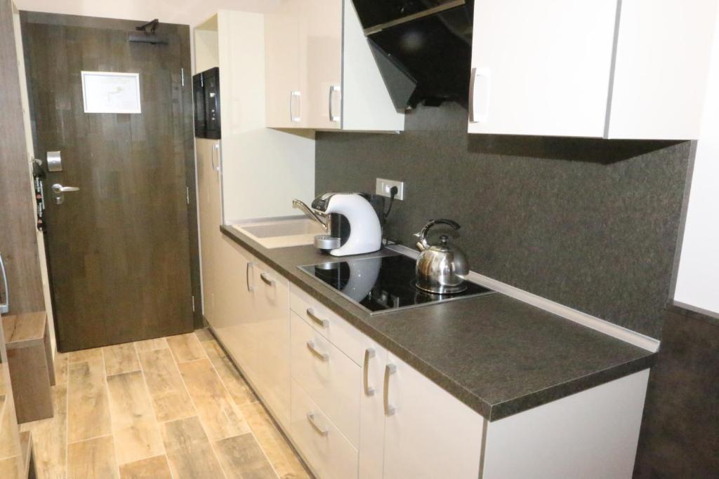 Kuchyň nebo kuchyňský kout v ubytování Apartment Hotel Orion