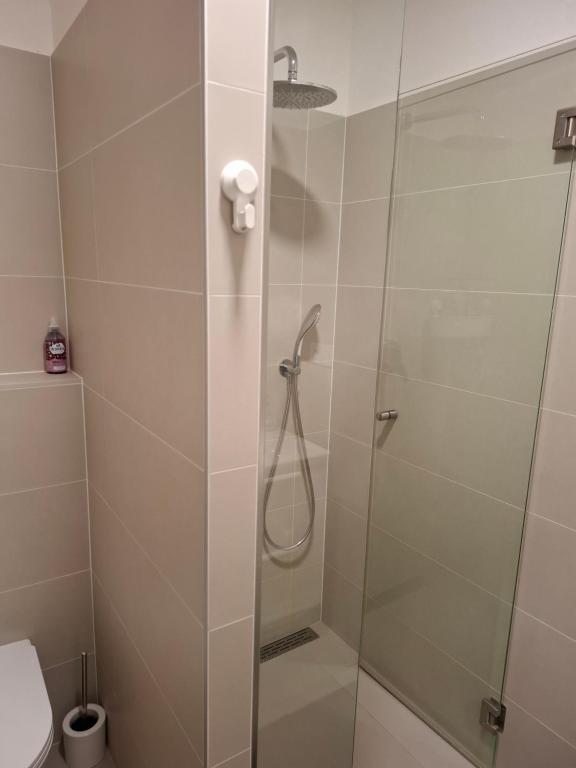 Santova Apartments Olomouc - 7