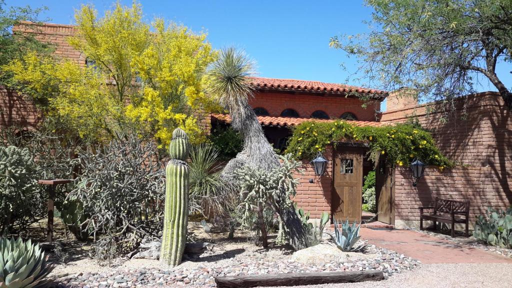 a garden with a cactus in front of a building at Desert Trails Bed & Breakfast in Tucson