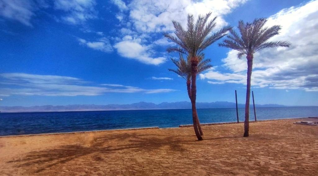 Ảnh trong thư viện ảnh của Bayt Alhout ở Nuweiba