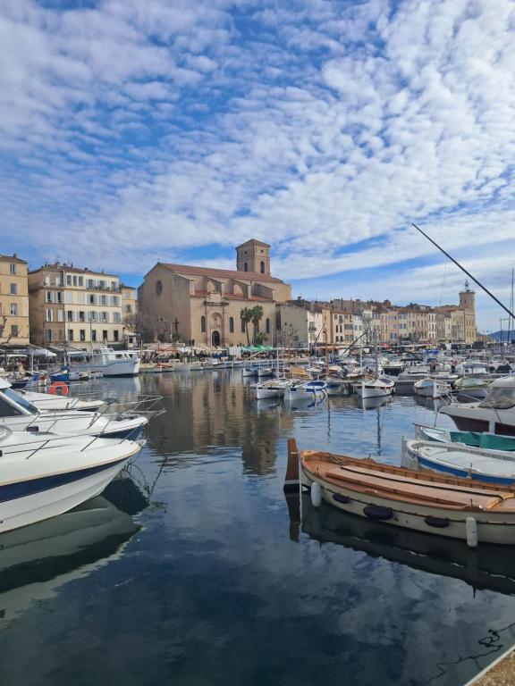 un groupe de bateaux est amarré dans un port dans l'établissement appartement T2 sur le port, à La Ciotat