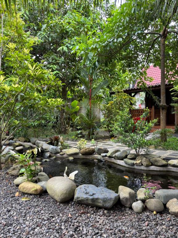 Zahrada ubytování Java Turtle Lodge Meru Betiri