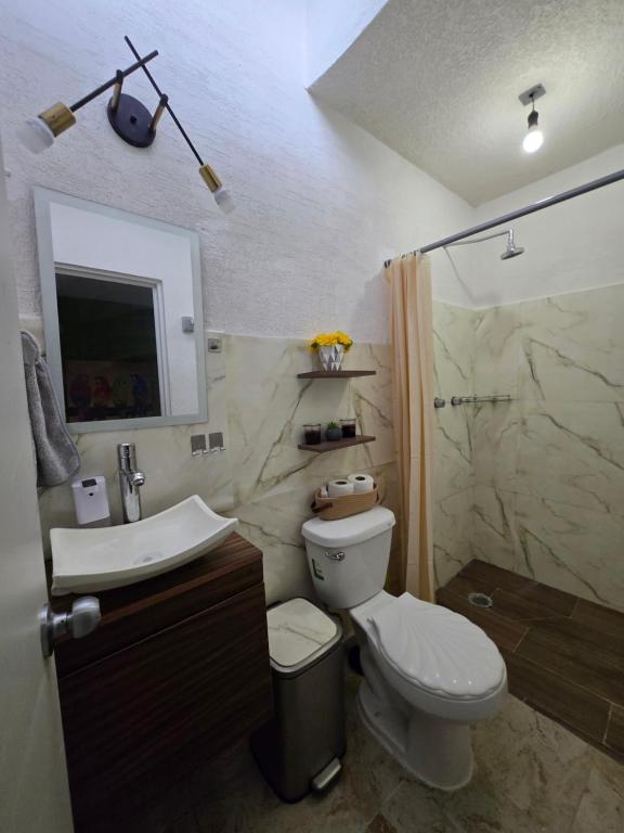 ein Badezimmer mit Toilette, Waschbecken und Dusche in der Unterkunft Casa NK in Tierra Colorada