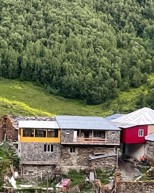Příroda nedaleko penzionu