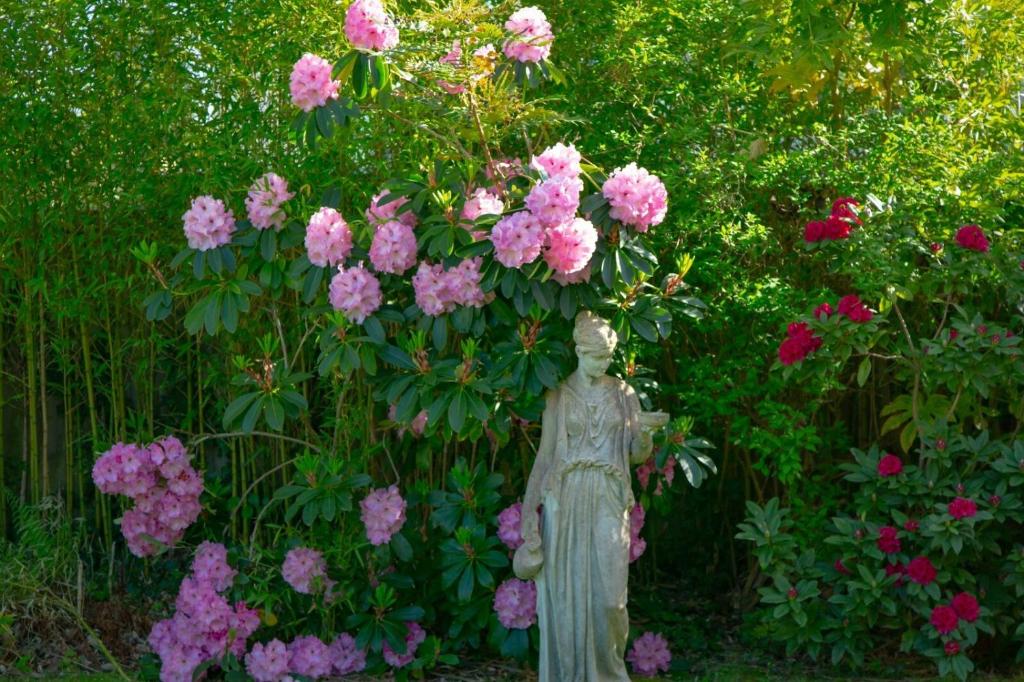 No 5 Bournemouth - Resim 26