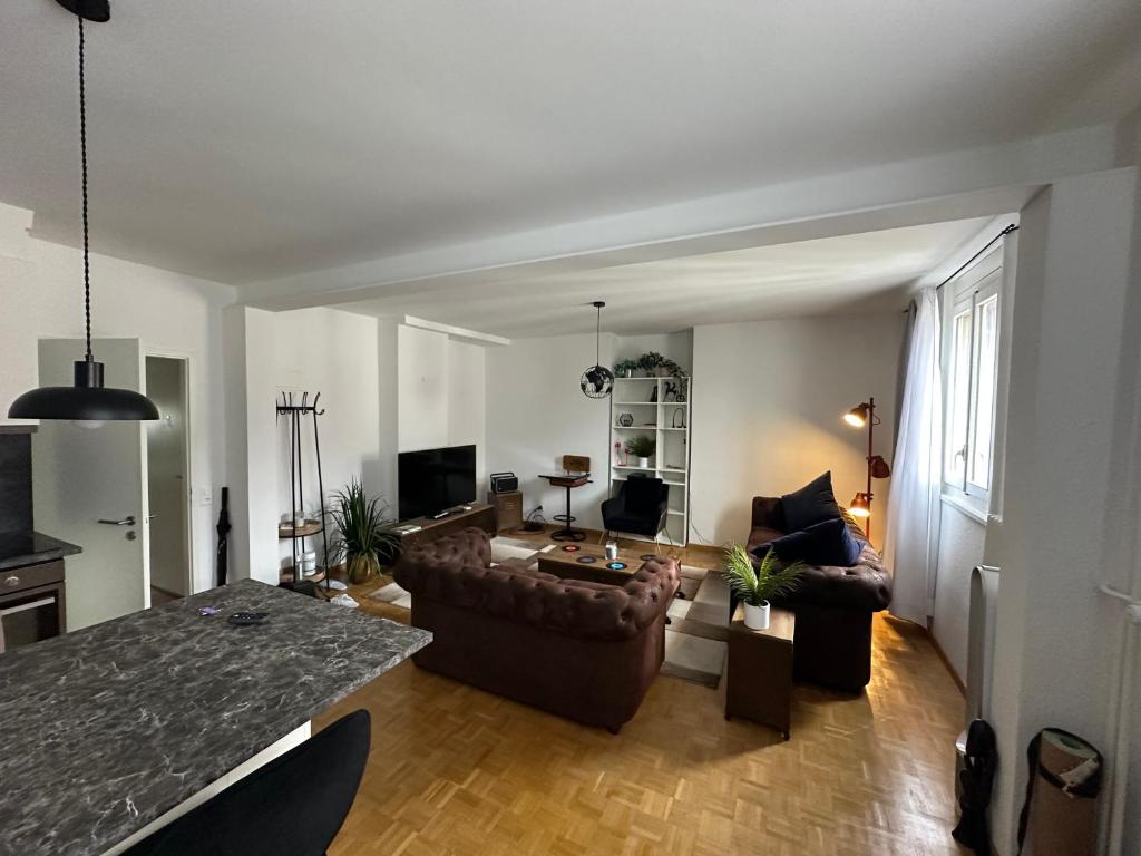 Magnificent apartment, Geneva Center, Geneva Lake - Resim 1