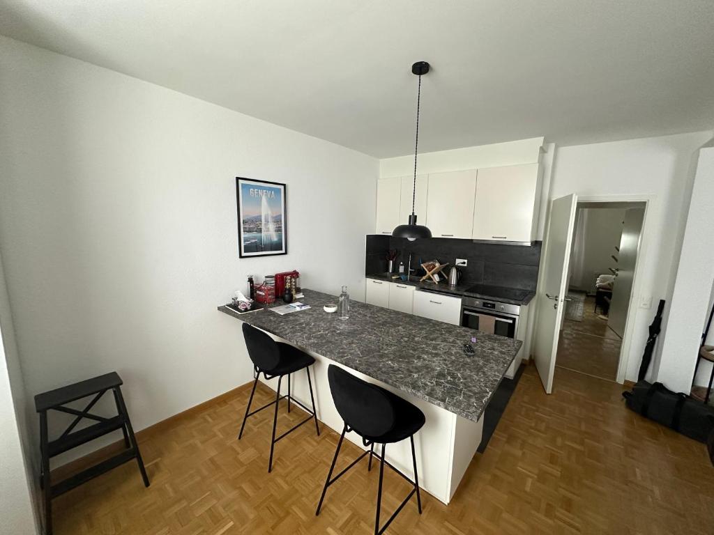 Magnificent apartment, Geneva Center, Geneva Lake - Resim 8