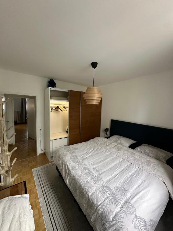 Magnificent apartment, Geneva Center, Geneva Lake - Resim 2