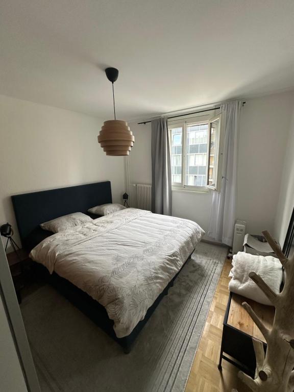 Magnificent apartment, Geneva Center, Geneva Lake - Resim 6