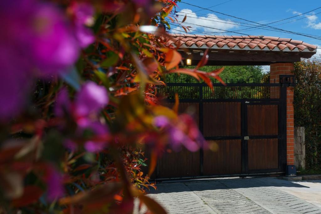 Zahrada ubytování Finca Hotel 12 Palmas- Aeropuerto JMC