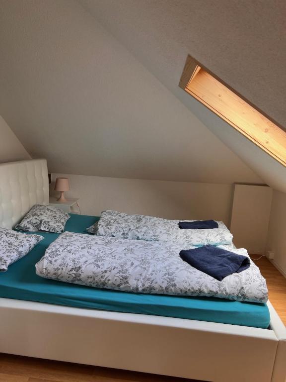 Hobacher0503 - Resim 6