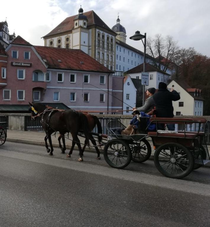 Hosté ubytování Ferienwohnung