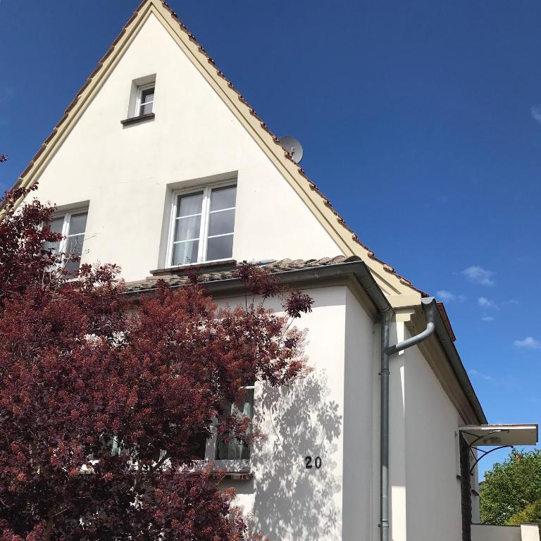 a white house with a tree in front of it at Ostsee-Ferienhaus-Richter in Ribnitz-Damgarten
