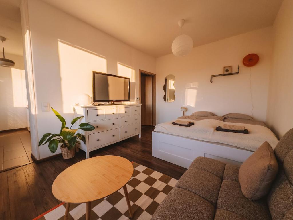 a bedroom with a bed and a tv and a couch at Byt v meste Piešťany in Piešťany