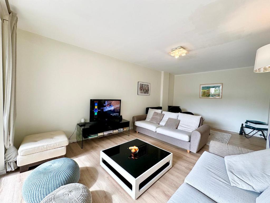 un salon avec un canapé et une télévision dans l'établissement 3P refurbished Cannes Palm Beach 200 m from the beaches, à Cannes