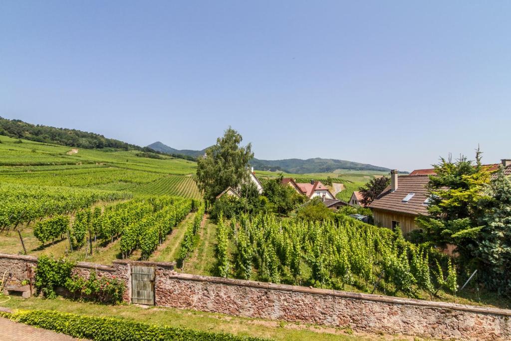 Maison Gîte Au Tonnelier – photo 52