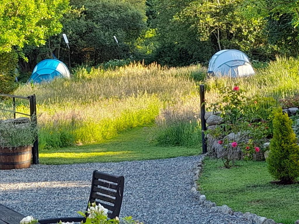 Aed väljaspool majutusasutust St Mullins Glamping,R95T3CT