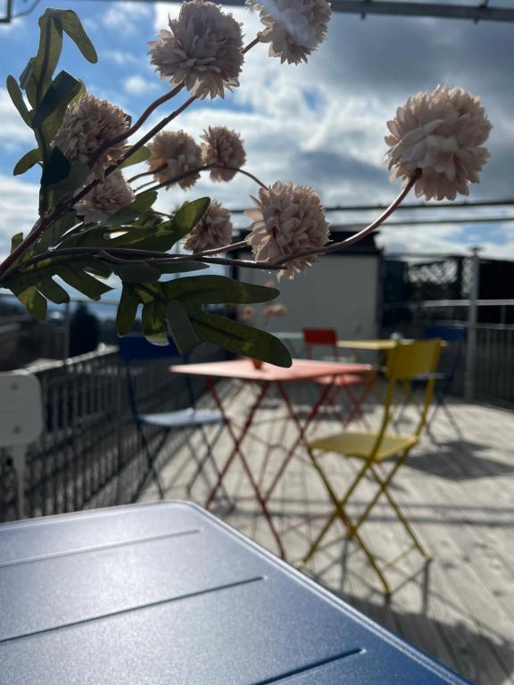 Boho Suite - Resim 20