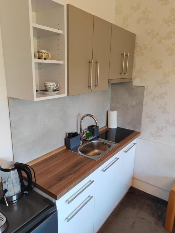 Kuchyň nebo kuchyňský kout v ubytování Apartmán Stella, Vysoké Tatry