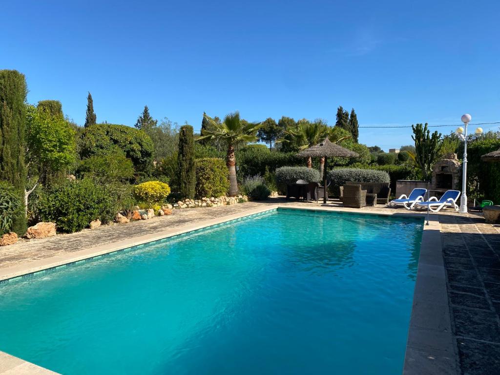 a large blue swimming pool with chairs and trees at Finca La Vida Apartment Boungavilla in Llucmajor
