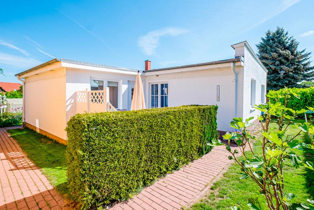 Κήπος έξω από το Bungalow Meerkatz