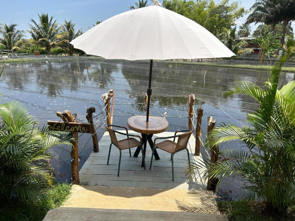 a table and chairs under an umbrella next to a body of water at Ziwa Ecohotel Roldanillo Valle - Cabaña Mwezi in Roldanillo