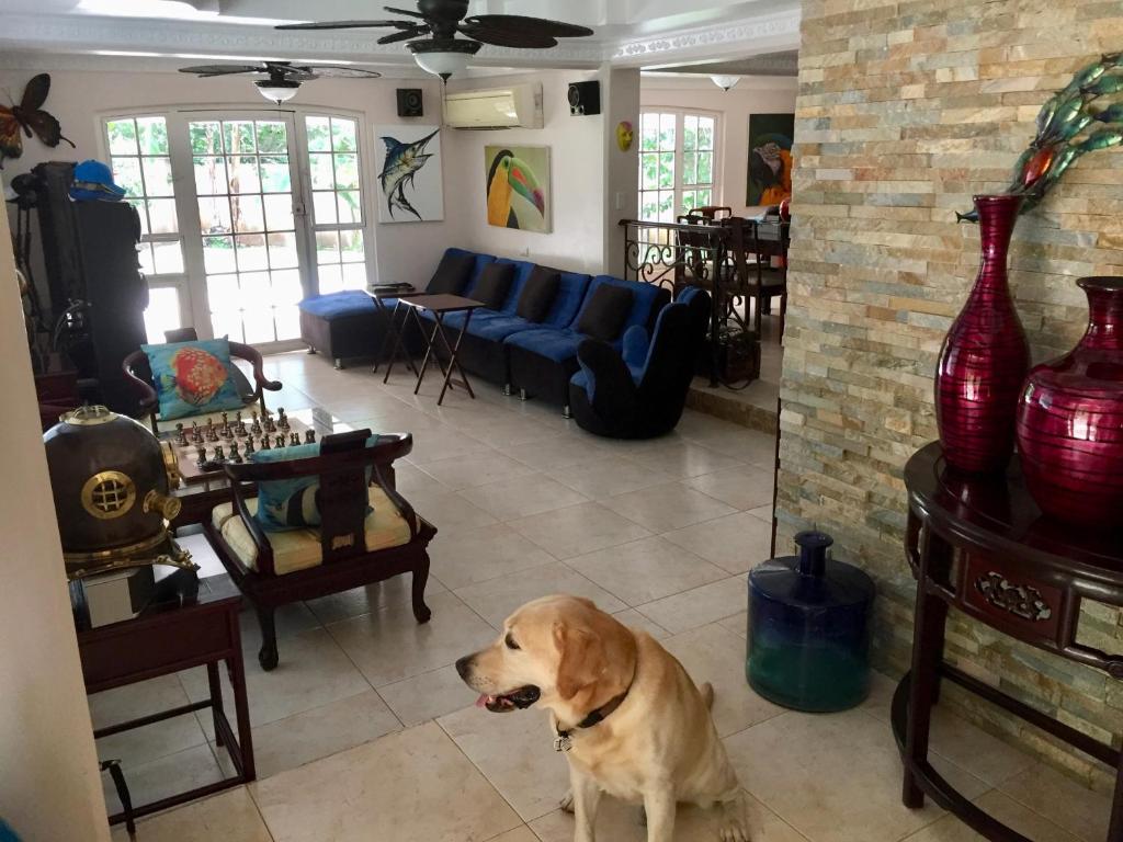 Istumisnurk majutusasutuses Greg's Place in Albrook