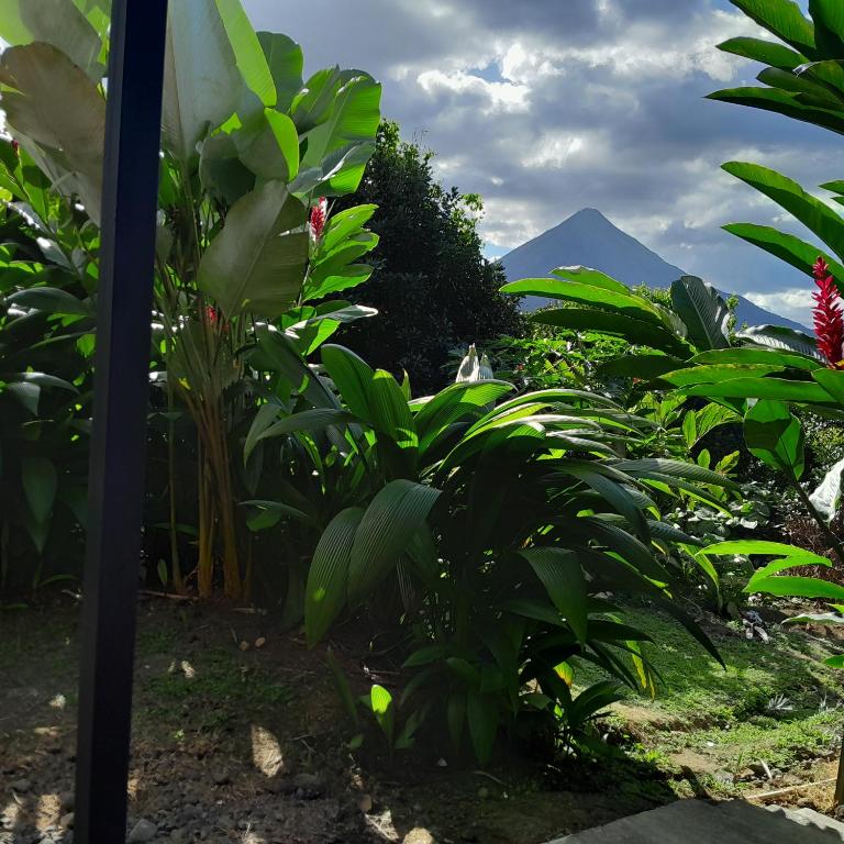 Cabaña Rural Pura Vida