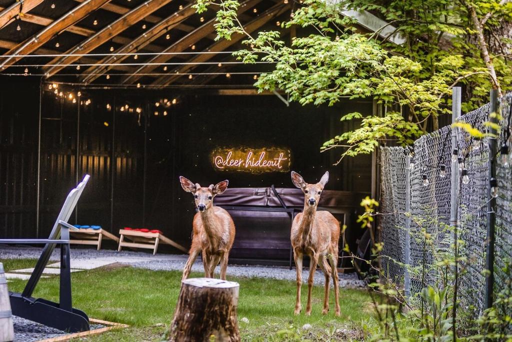 two deer standing in a yard next to a tree stump at Log Cabin with King Bed and Hot Tub in Ashford