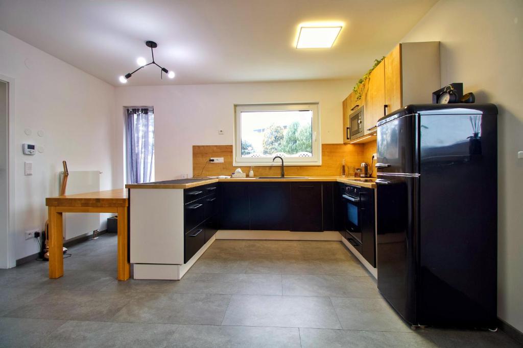Kuchyň nebo kuchyňský kout v ubytování Vila sauna Plzeň apartmány Plzeň Zbůch