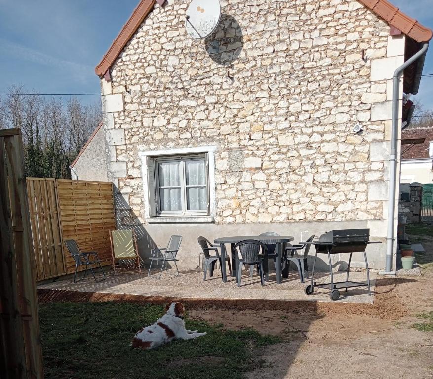 un chien pondant sur l'herbe à côté d'une table et de chaises dans l'établissement Maison avec jardin clos, proche du zoo de Beauval et des Châteaux de la Loire, à Meusnes