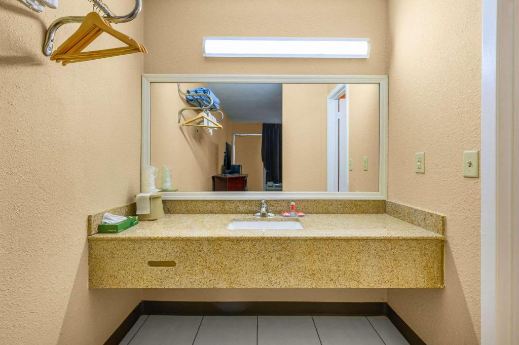 Econo Lodge Decatur South - 大号床间 - 无障碍/禁烟