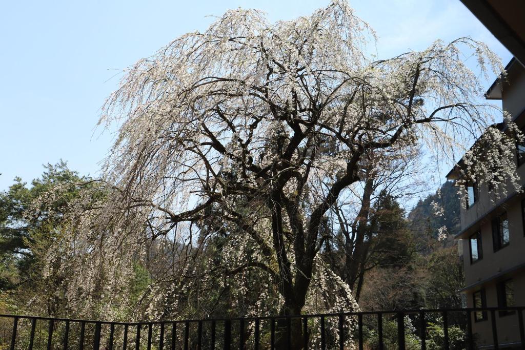 Fotografie z fotogalerie ubytování Hakone Kowakien Hotel v destinaci Hakone
