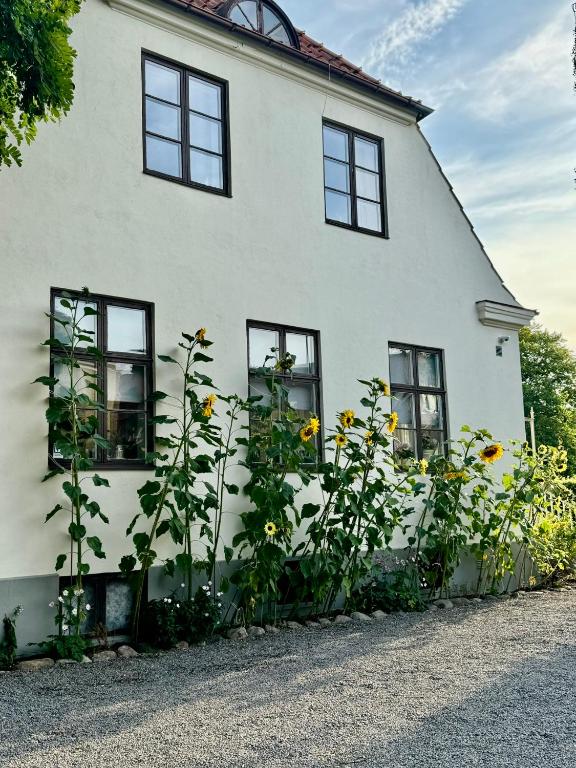 Aed väljaspool majutusasutust STF Landskrona Hostel