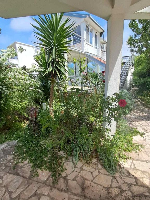 Zahrada ubytování Apartman Dane