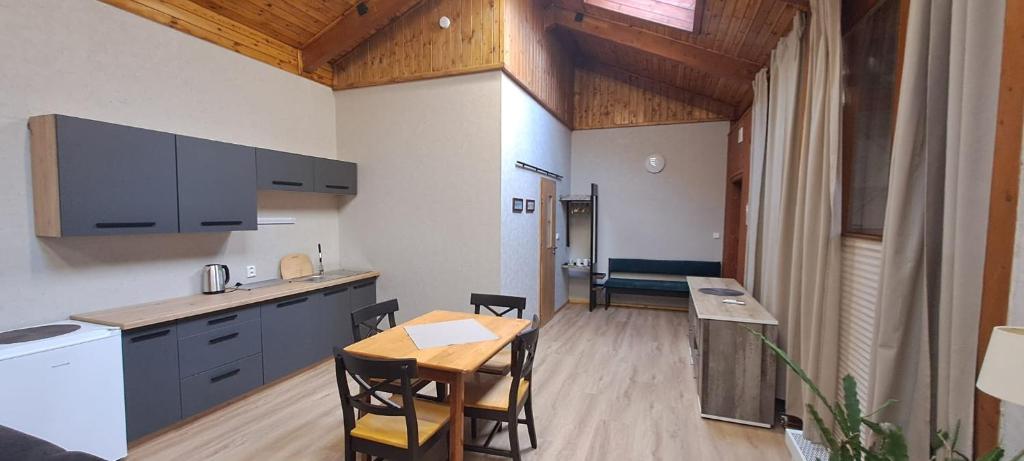 Kuchyň nebo kuchyňský kout v ubytování Apartmány za Plotem