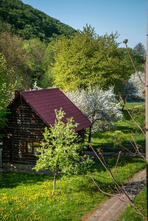 Příroda nedaleko hotelu