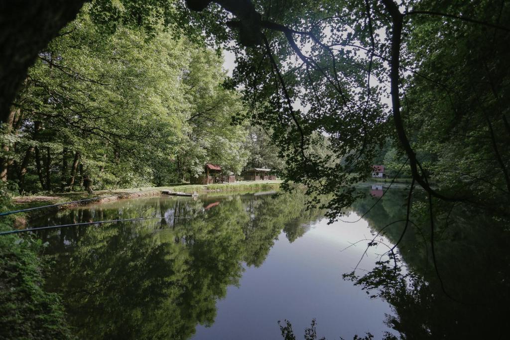 Příroda nedaleko hotelu