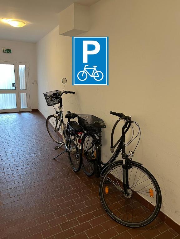 Jízda na kole v ubytování Marktplatzapartment nebo okolí
